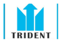 Trident Insurance